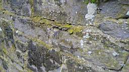 acastle 105715.jpg